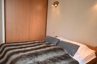 VAUJANYLOCATIONS - COCHETTE 1 APT 2 - Vaujany - 2