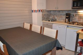 VAUJANYLOCATIONS - COCHETTE 1 APT 2 - Vaujany - 1