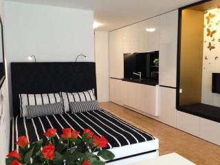 Gorgeous central flat with garage - Liubliana - 0