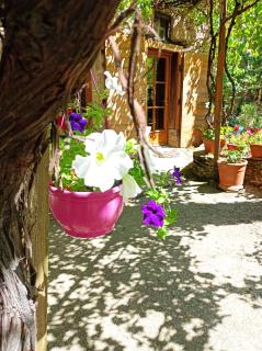 Gîte Sainte Croix en Jarez, Le Val des Equins - 6