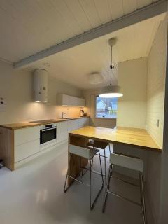 Arctic Villa Birch - 1