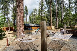 Evergreen Lodge at Yosemite - Groveland - 6