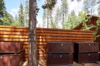 Evergreen Lodge at Yosemite - Groveland - 9