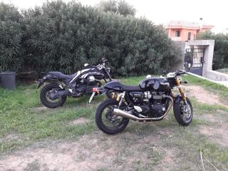 Villa delle Gazanie -Camera in villa -Vista panoramica sul Golfo - 5