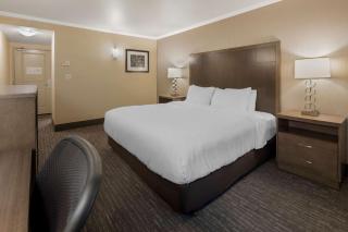 Best Western Plus Chena River Lodge - 7
