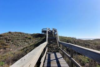 Shamrock by the Sea - Port Aransas - 9