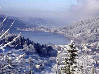 Appartement avec Terrasse & Piscine Privée, Gérardmer - FR-1-589-56 - Gérardmer - 3
