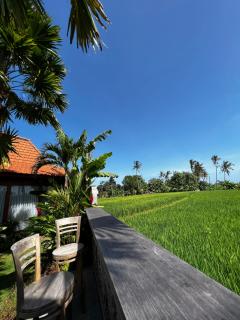 Rich Village - 4