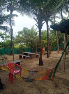 Turtula Beach Resort - Bhogwe - 6
