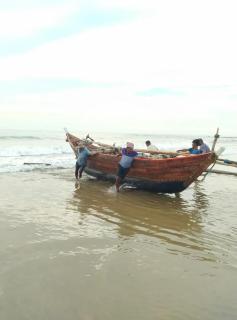 Turtula Beach Resort - Bhogwe - 3