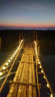 Turtula Beach Resort - Bhogwe - 2