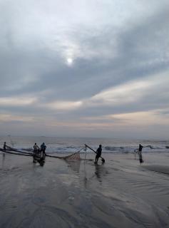 Turtula Beach Resort - Bhogwe - 1