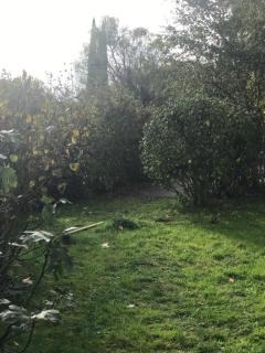 Ravissant appartement dans cadre verdoyant - Marchampt - 3