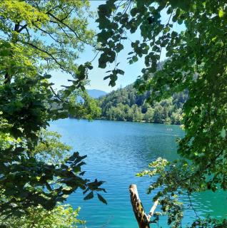 Nickis Bergcamp - Schneizlreuth - 3