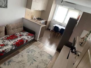 Lovely Bacau 1 bedroom apartment - Bacău - 6
