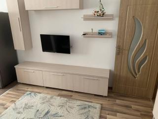 Lovely Bacau 1 bedroom apartment - Bacău - 3