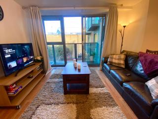 Swanky Central Apartment with Free Wifi (Sleeps 4) - Birmingham - 0