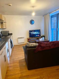 Swanky Central Apartment with Free Wifi (Sleeps 4) - Birmingham - 1