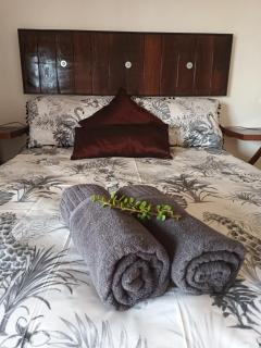 Chameleon Lodge - Cannonvale - 5