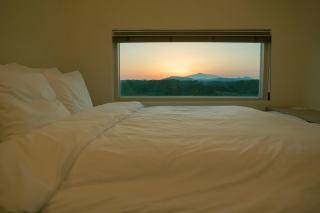 Chuidasun Resort Tea & Meditation - Seogwipo - 9