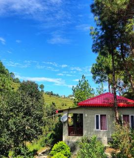 Majkhali Woods, Ranikhet, By Himalayan Eco Lodges - Rānīkhet - 6