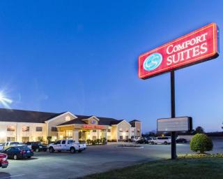 Comfort Suites Idabel - Idabel - 9