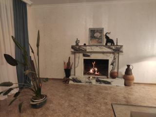 Rustavi guest house - Rustavi - 1