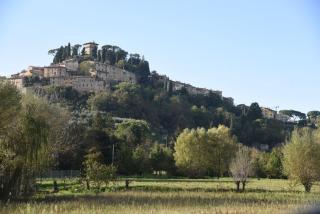 La Poderina - Cetona - 1