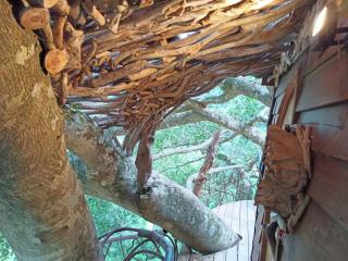 Kamisatu Treehouse - 1