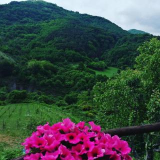 B&B Il Ghiro-Country House - Mormanno - 3