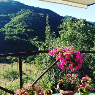 B&B Il Ghiro-Country House - Mormanno - 7