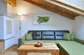 UR-NATUR Appartements - Maria Alm am Steinernen Meer - 2
