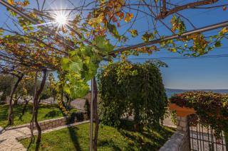 Apartments in Crikvenica 43070 - Crikvenica - 5