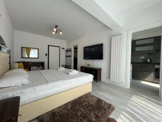 Cozy Studio - Palas Mall Iasi - Iaşi - 4