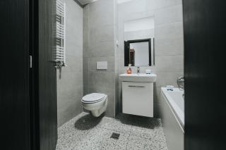 Cozy Studio - Palas Mall Iasi - Iaşi - 9