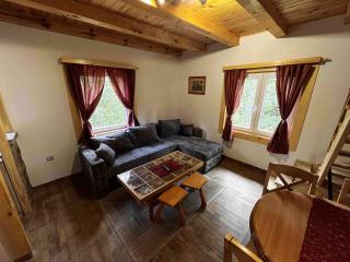 Star Apartments - Bajina Bašta - 8