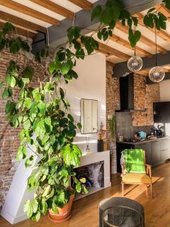 Number 9 holiday apartments - 4