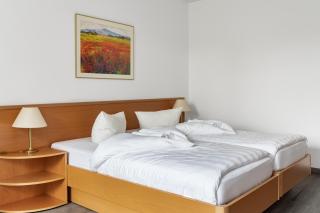 Löwen Pension - Unterlüß - 8