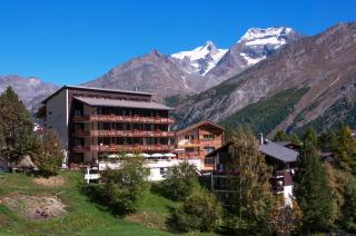 Apartment Bristolino - Saas-Fee - 2