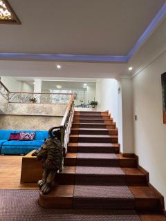 Dakani Hotel Boutique NEW - Quito - 4