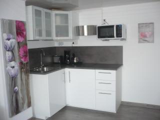Joli gîte proche Strasbourg - Breuschwickersheim - 7