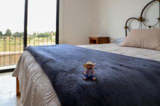 Casa en hermoso condominio, 10 personas! - San Miguel de Allende - 5