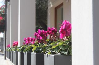 Hotel Angedras - Alghero - 1