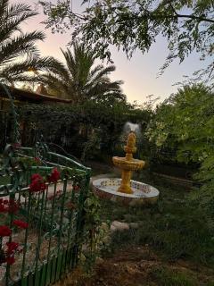 Riad Perlamazigh - 2