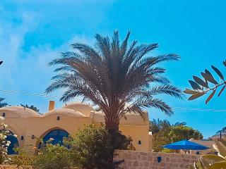 Lemon tree villa - Tunis - 9