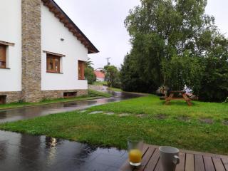 Apartamentos y Casa La Paredana, agroturismo - Fontoria - 7
