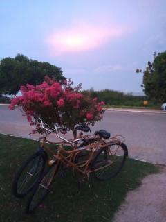 Barrinha dos Ventos - 7