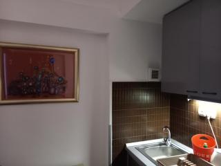 Green point Apartments - Dušanovac (historical) - 7