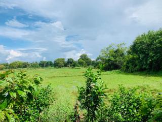 Coco Garden Holiday Homes - Anuradhapura - 0