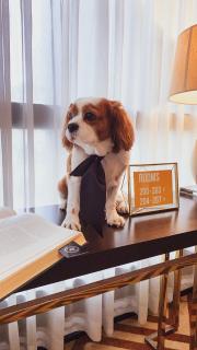 Villa Brown Moshava - a member of Brown Hotels - Jerusalem - 4
